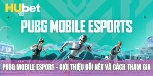 PUBG Mobile Esport - Giới Thiệu Đôi Nét Và Cách Tham Gia