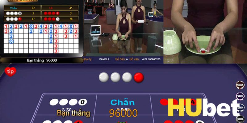 Cách chơi xóc đĩa - hướng dẫn quy trình chuẩn cho tân binh
