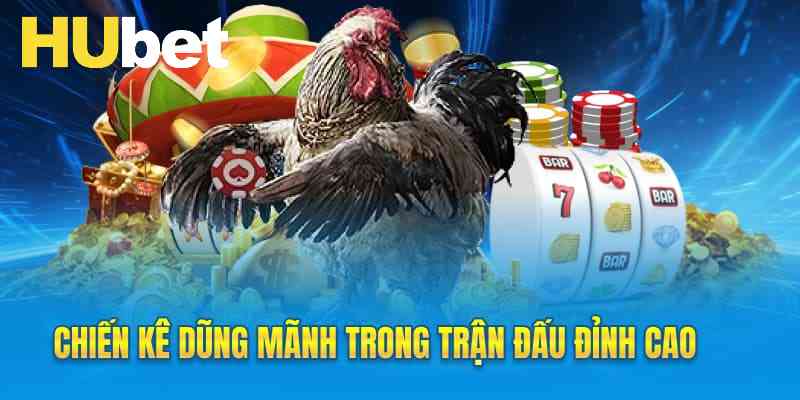 Chiến kê dũng mãnh trong trận đấu đỉnh cao