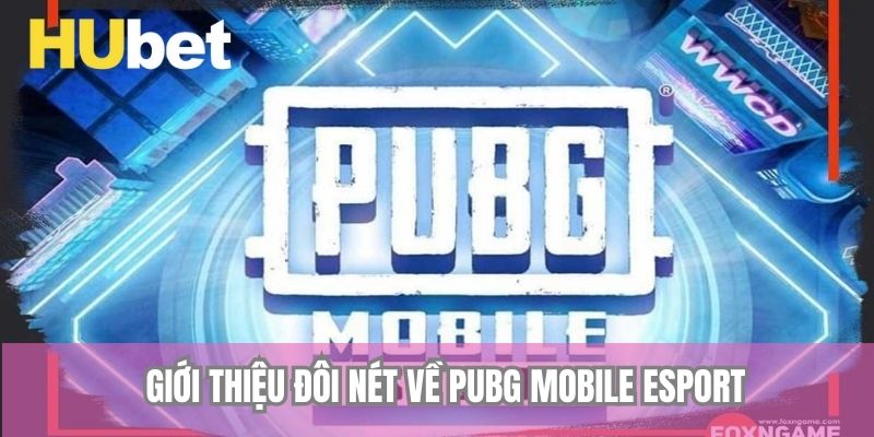 Giới thiệu đôi nét về PUBG Mobile Esport