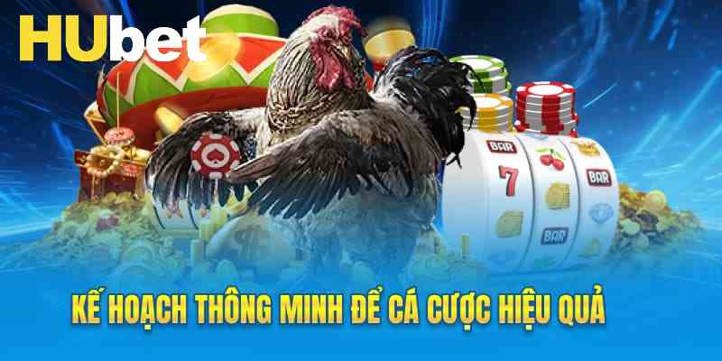 Kế hoạch thông minh để cá cược hiệu quả
