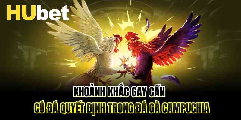 Khoảnh khắc gay cấn – Cú đá quyết định trong đá gà Campuchia